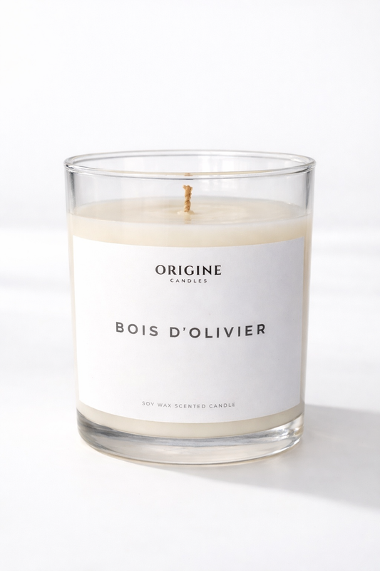 scented candle with cypress, cedar, olive leaves, and soft amber woods evoking natural calm and refinement